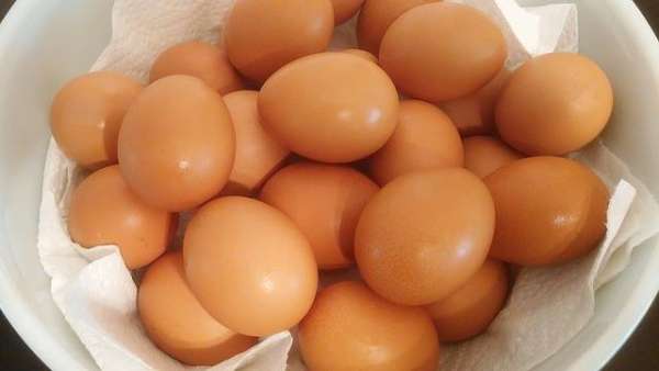 jajeczny swiat jaj